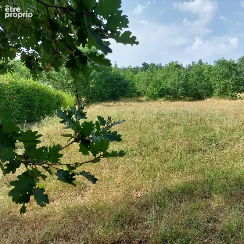 Maison à vendre 7 pièces MONTAUBAN (82) avec hangar de 150m², 6861m² de terrain avec une partie boisée - photo 9