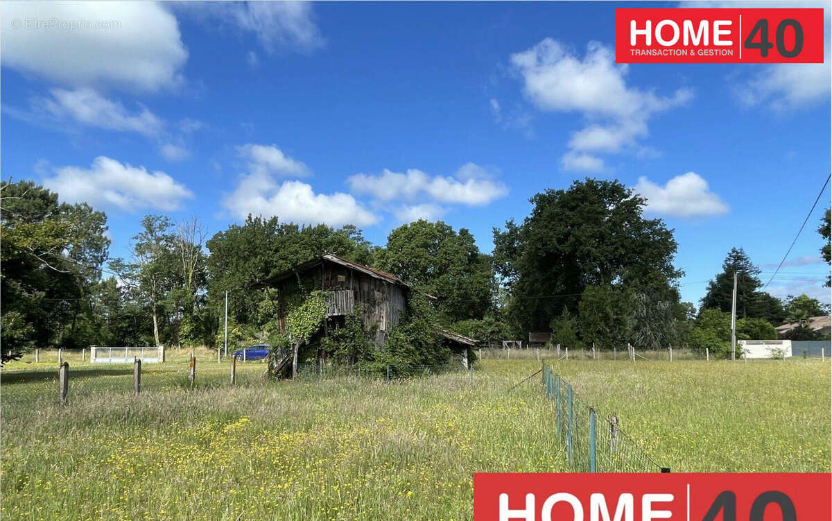 Terrain à SANGUINET