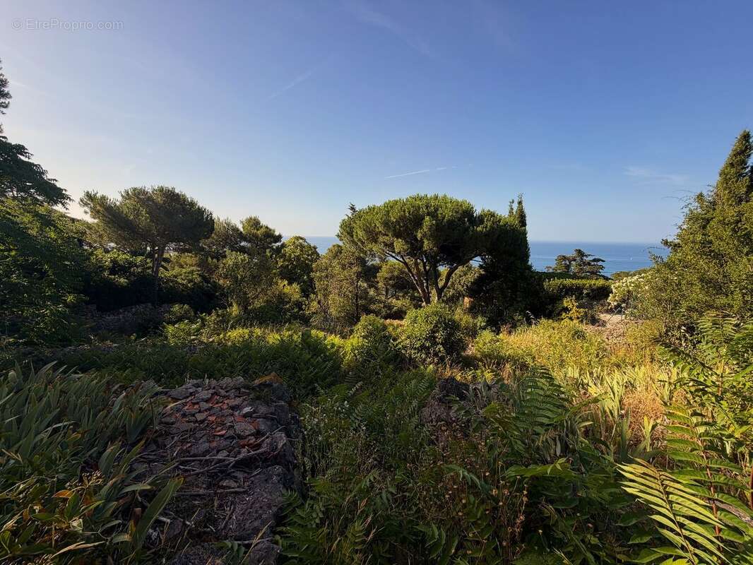 Terrain à SETE