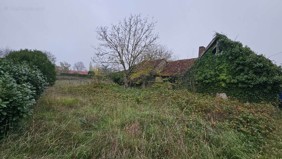 Maison à BUZANCAIS