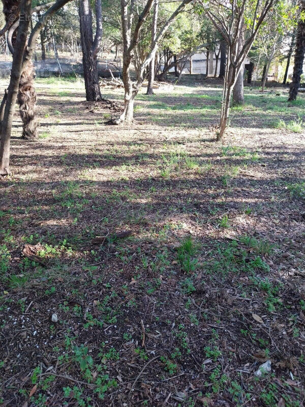 Terrain à OUVEILLAN