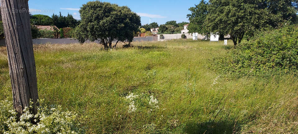 Terrain 441 m² à Avignon  - photo 2