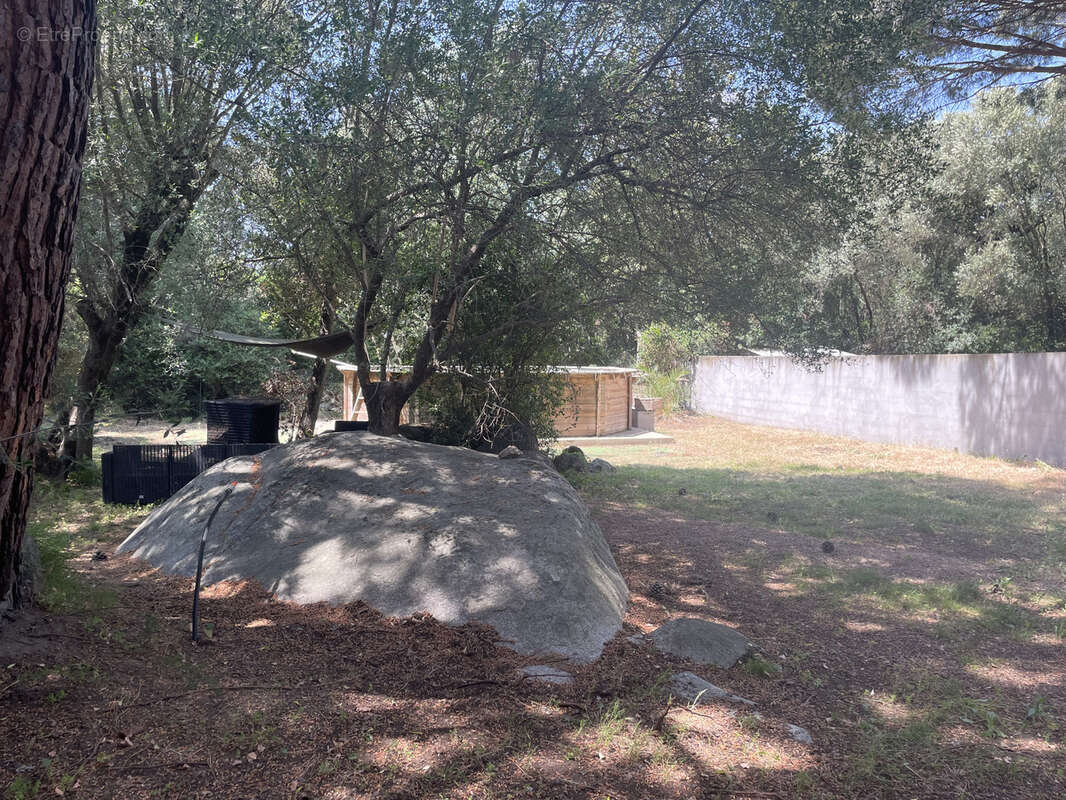 Maison à PORTO-VECCHIO