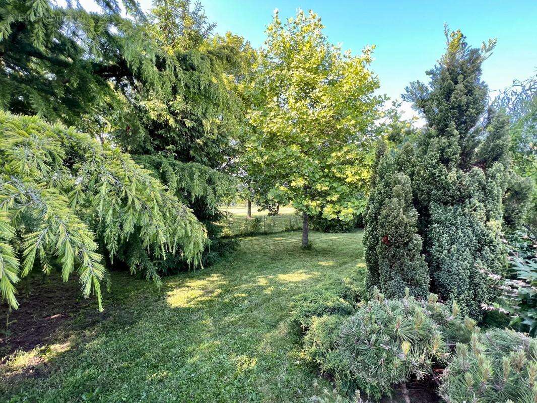 Maison à BAILLY-ROMAINVILLIERS