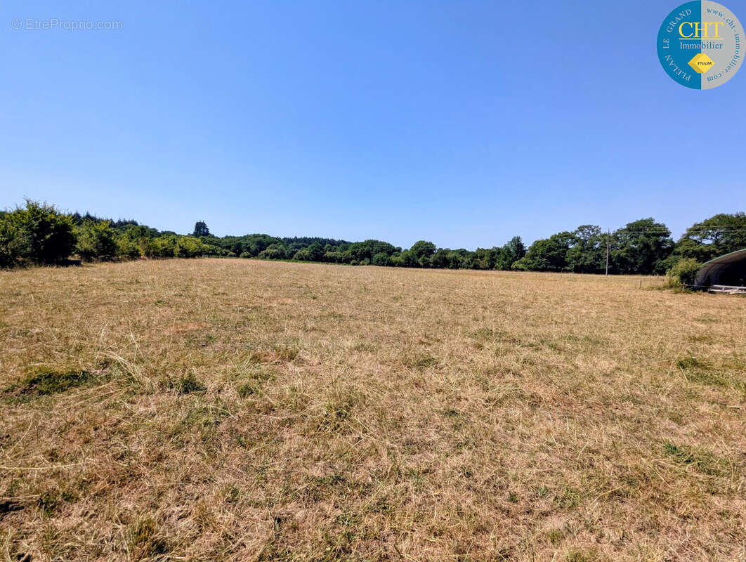 Charme et Authenticité : Longère en pierres sur vaste terrain à Monteneuf (56380) - photo 31