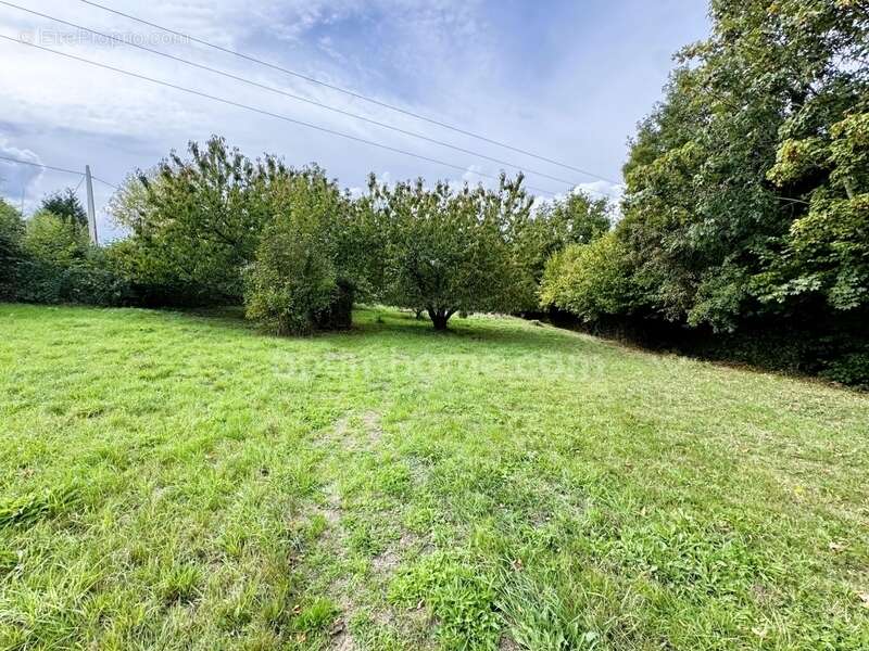 Maison à VIMOUTIERS