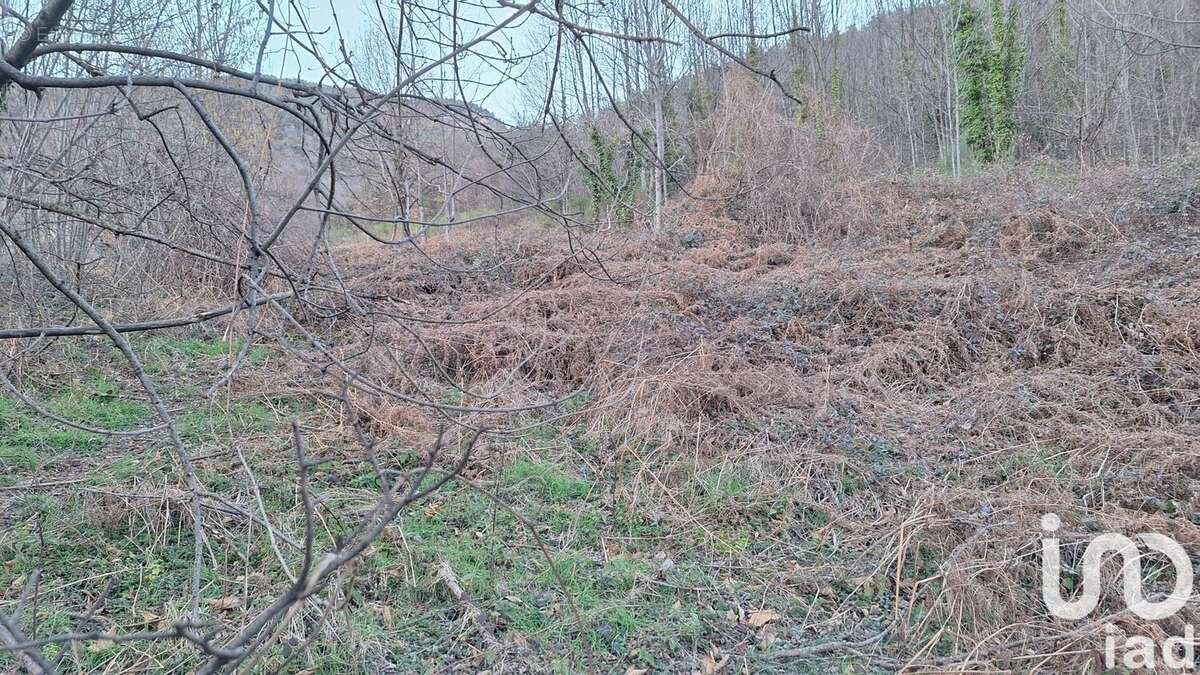 Photo 2 - Terrain à PRATS-DE-MOLLO-LA-PRESTE