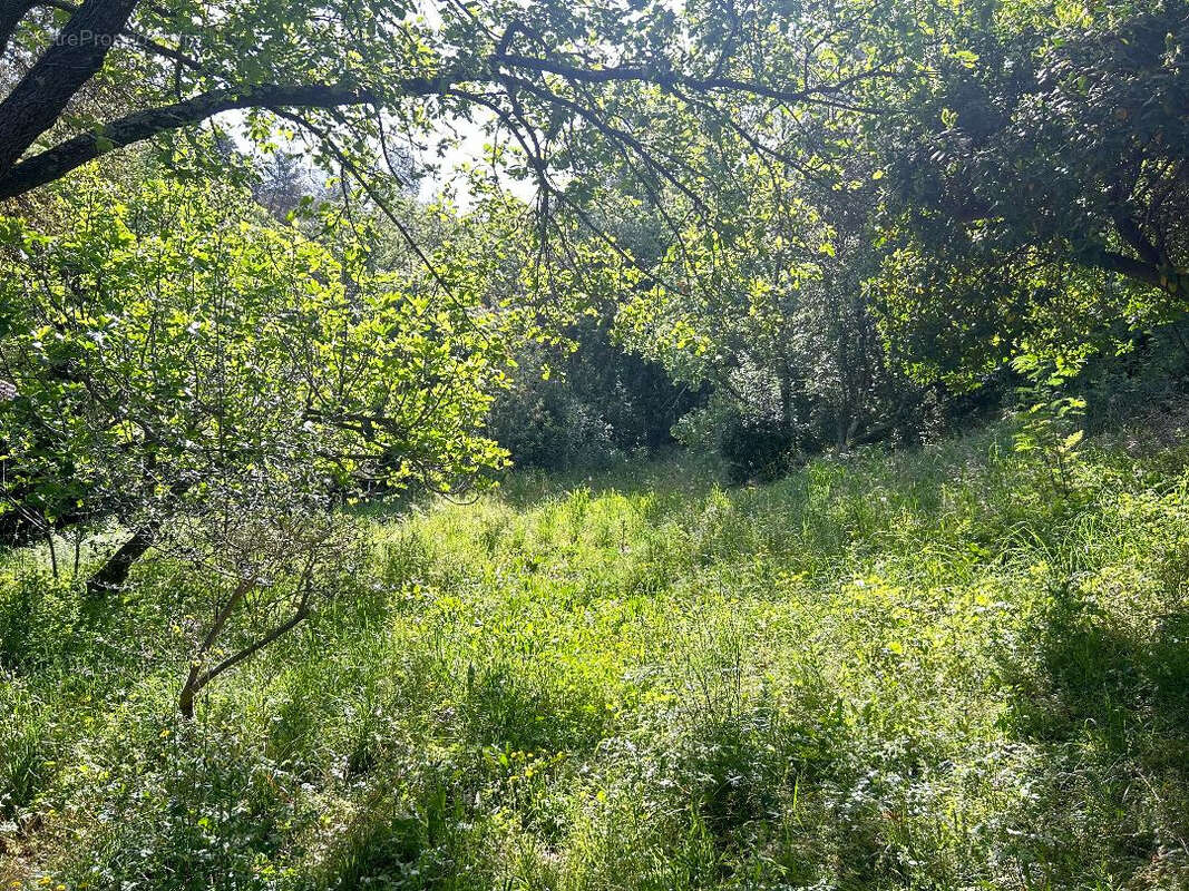 Terrain à PIERREFEU-DU-VAR