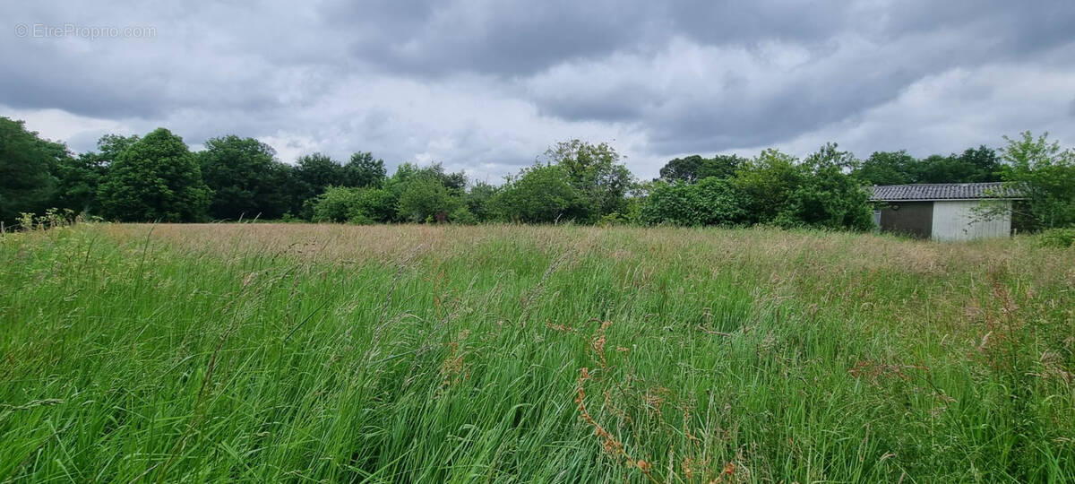 Terrain à LA ROCHE-SUR-YON