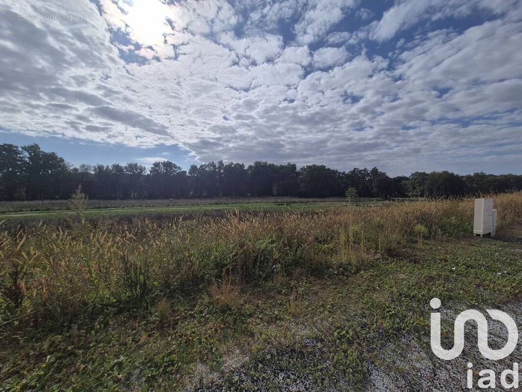 Photo 1 - Terrain à LANGUIDIC