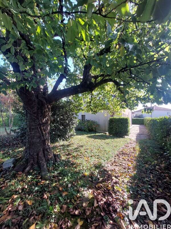 Photo 6 - Maison à SEMEAC