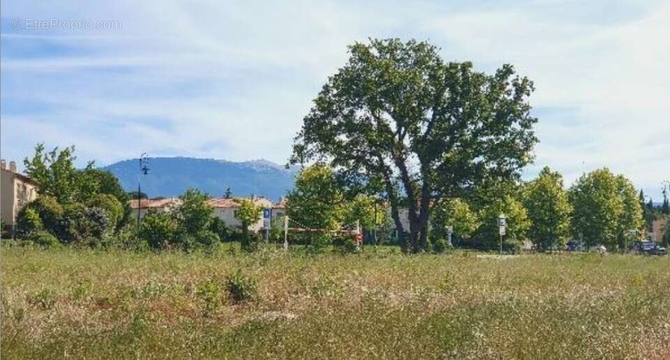 Terrain 294 m² à Mazan  - photo 2