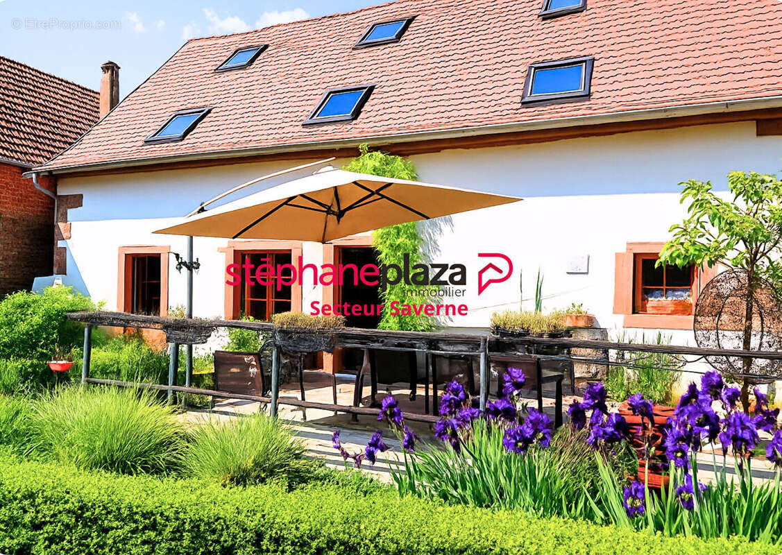 Maison à HENGWILLER