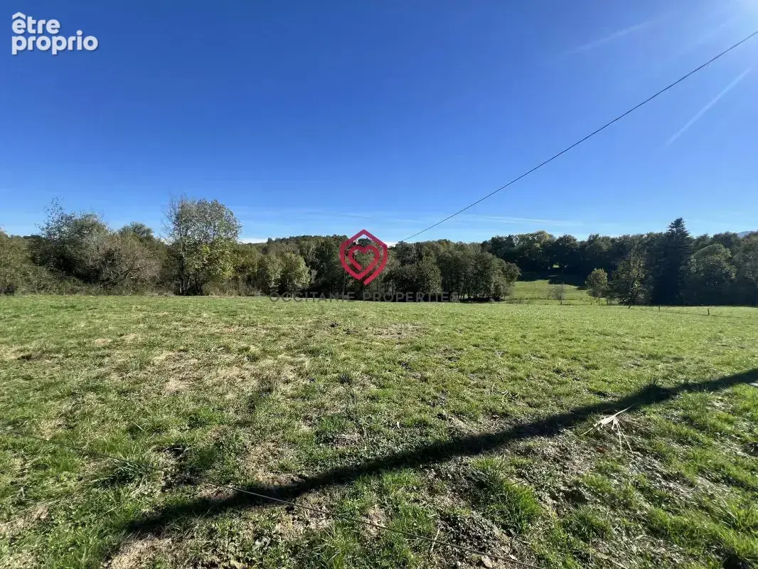 Maison avec galerie d'artiste et 16523m2 terrain - photo 4