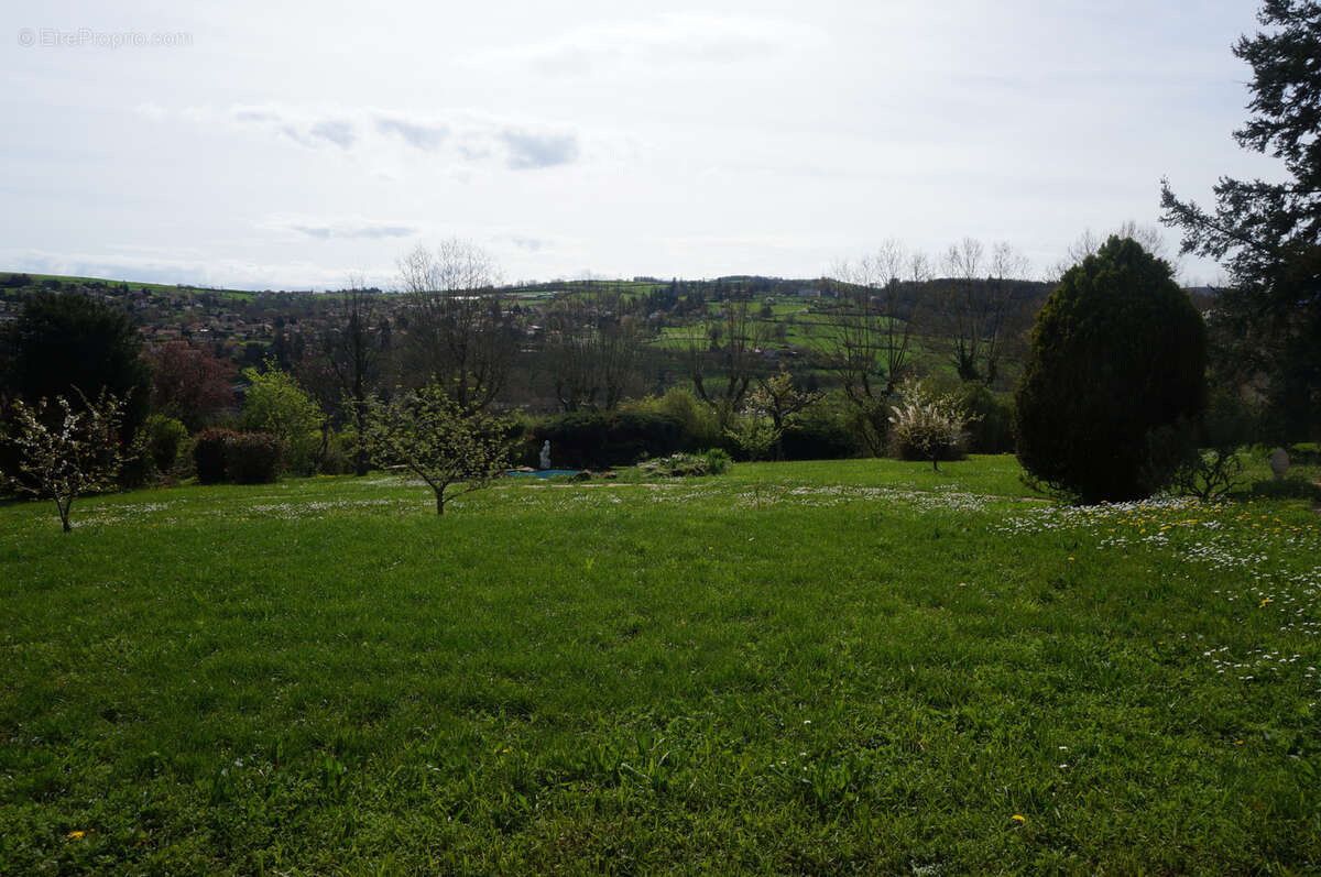 Terrain à L&#039;ARBRESLE