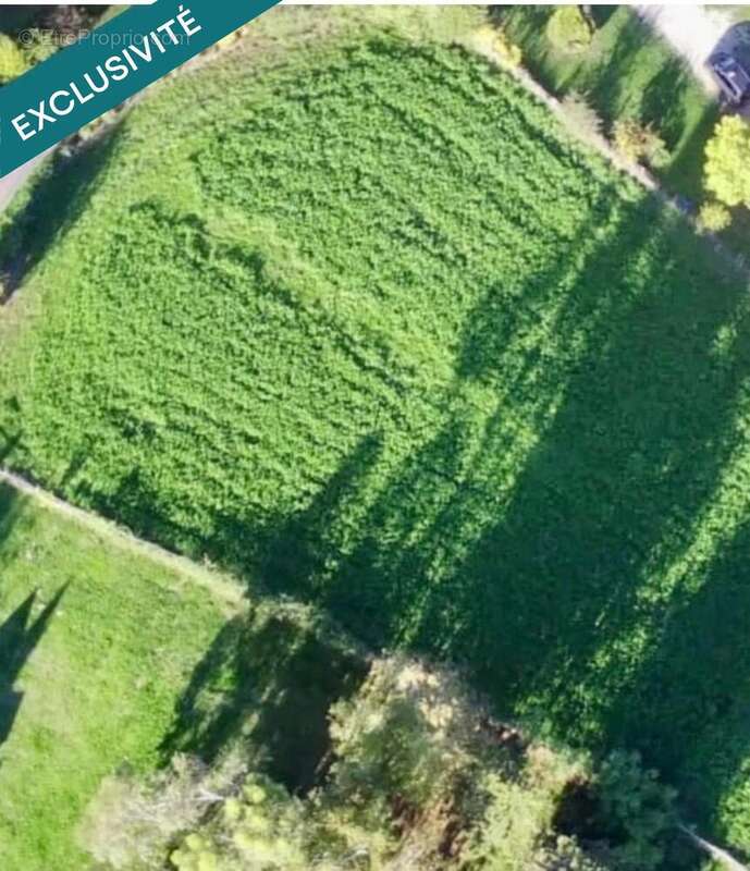 Photo 2 - Terrain à LE BUGUE