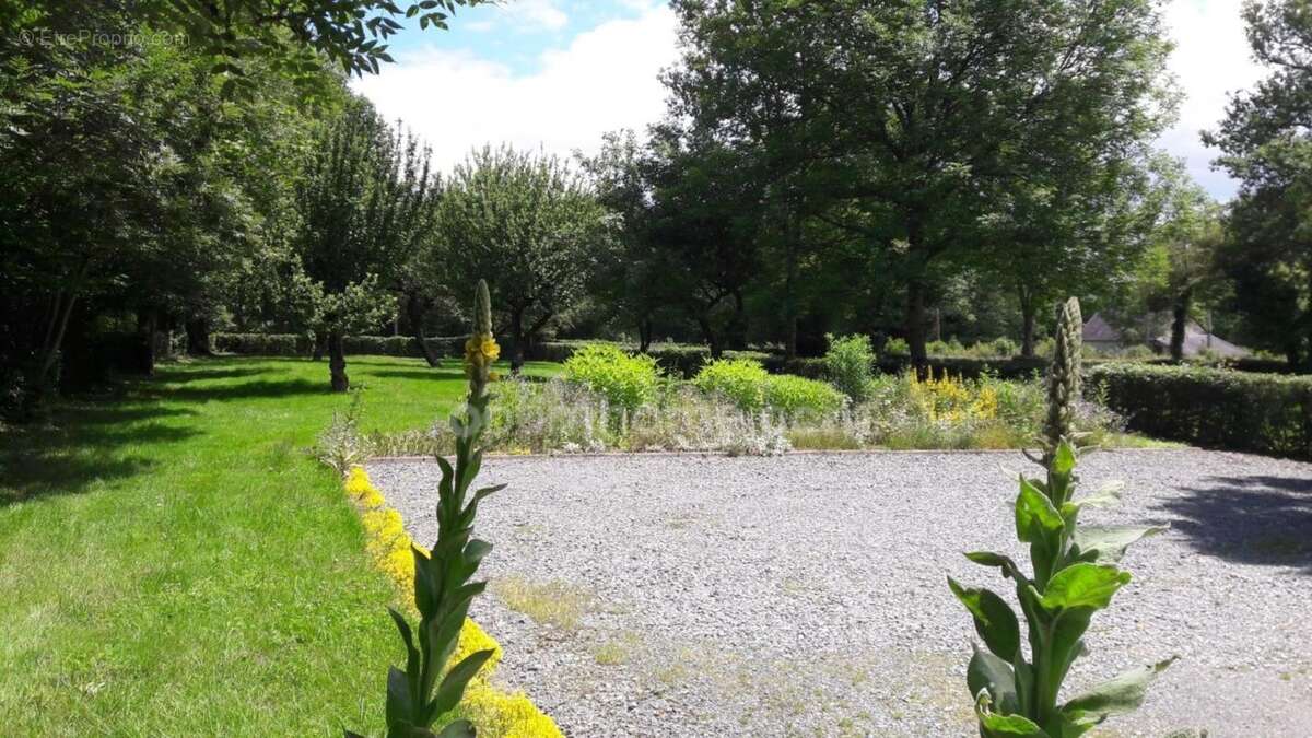 Propriete à vendre 11 pièces BETETE (23) - photo 28