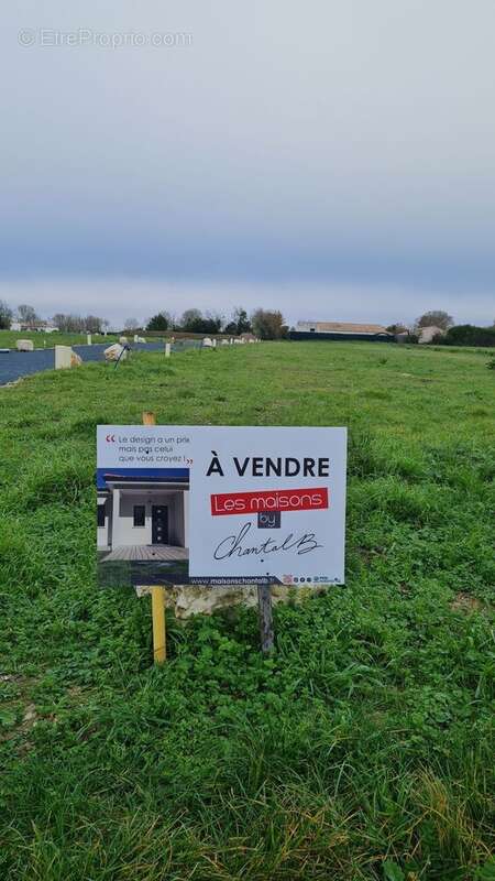 Terrain à SAINTE-SOULLE