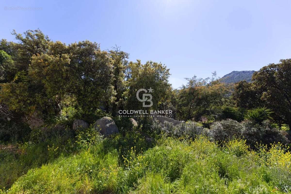 Maison à L'ILE-ROUSSE