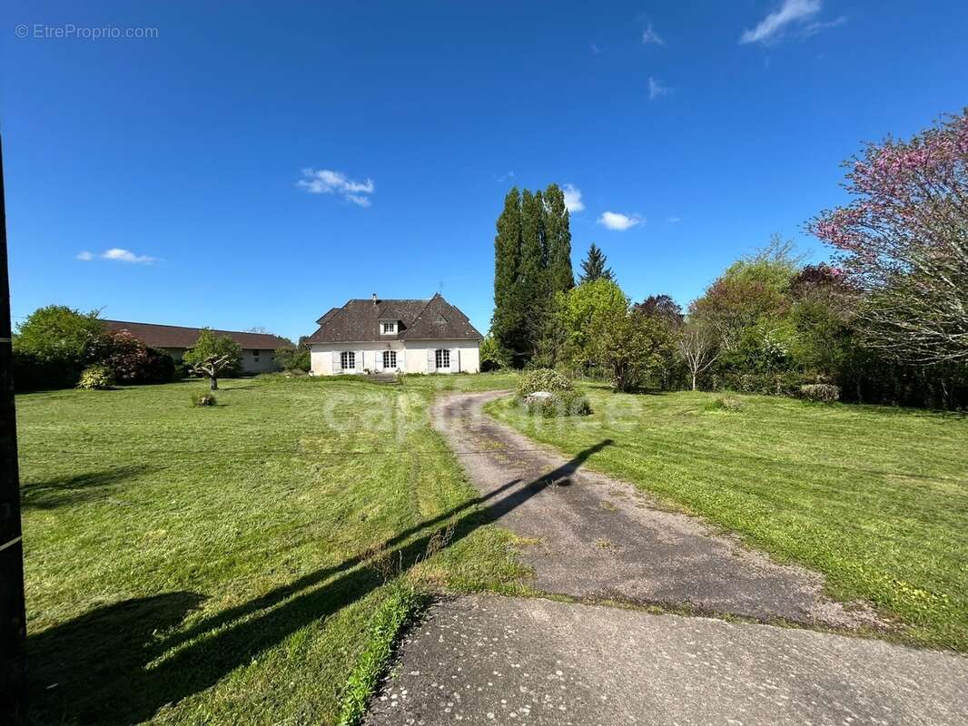 Maison à vendre 7 pièces THIVIERS (24)252m² sur plus de 5000m² de terrain - photo 13