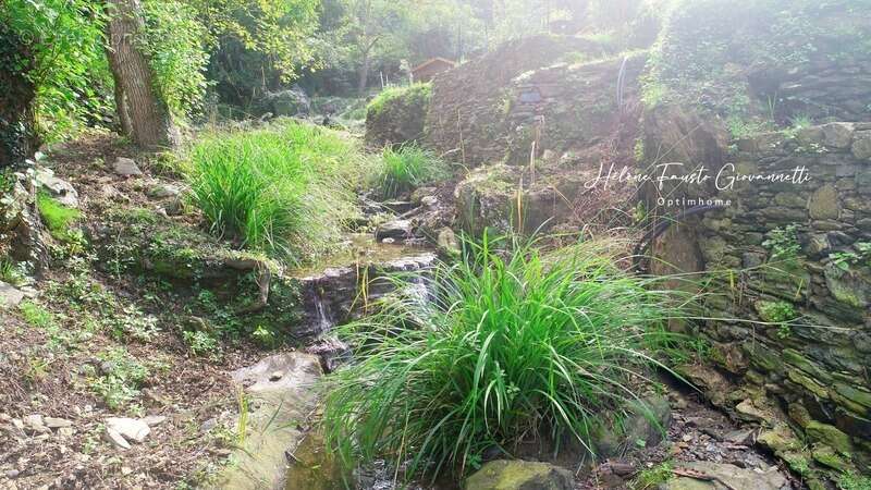 Appartement à OLETTA