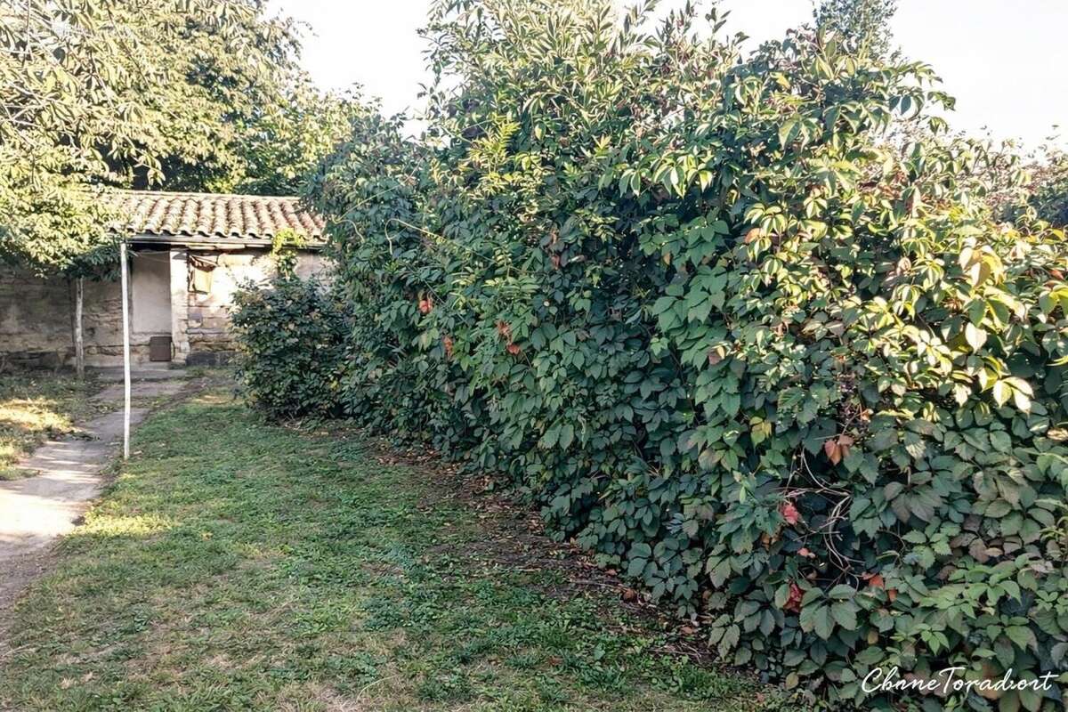 Photo 9 - Maison à LIBOURNE