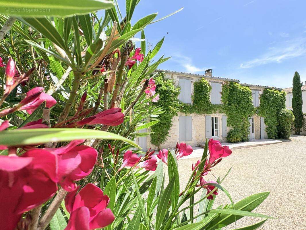 Maison à SAINT-XANDRE