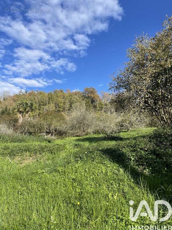 Photo 3 - Terrain à MONEIN
