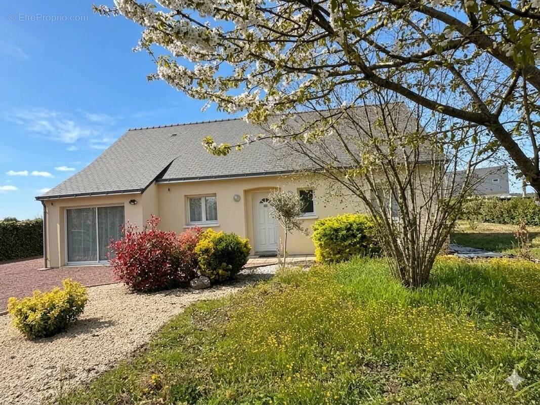 Maison à BRAIN-SUR-ALLONNES