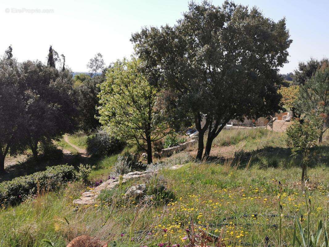 Proprià©tà© de caractà?re à  Saint-Gilles, vue panoramique sur les Alpilles â€" 350 m² sur 8 740 mÂ - photo 2