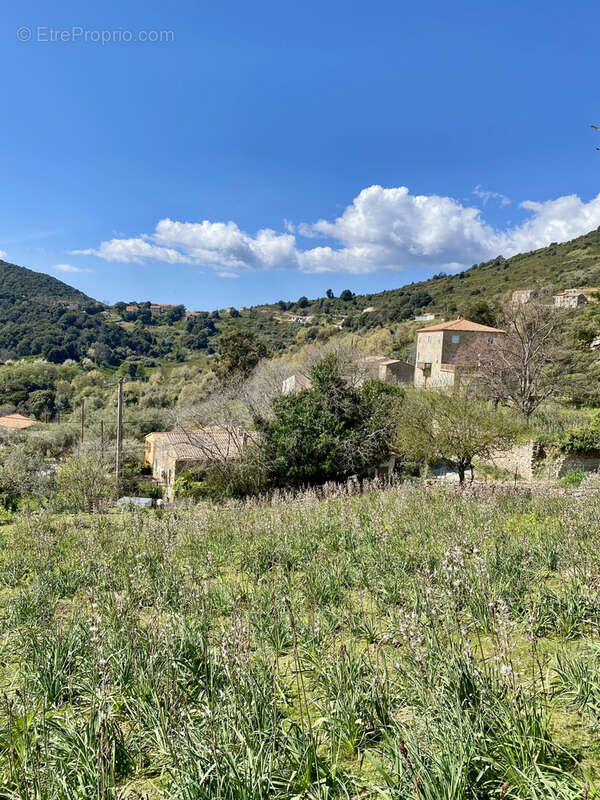 Terrain à PROPRIANO