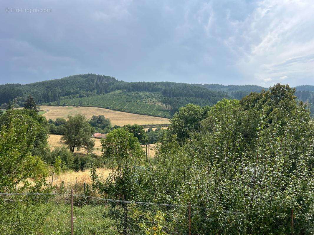Maison à vendre 6 pièces Proche de LAMURE SUR AZERGUES (69) - photo 5