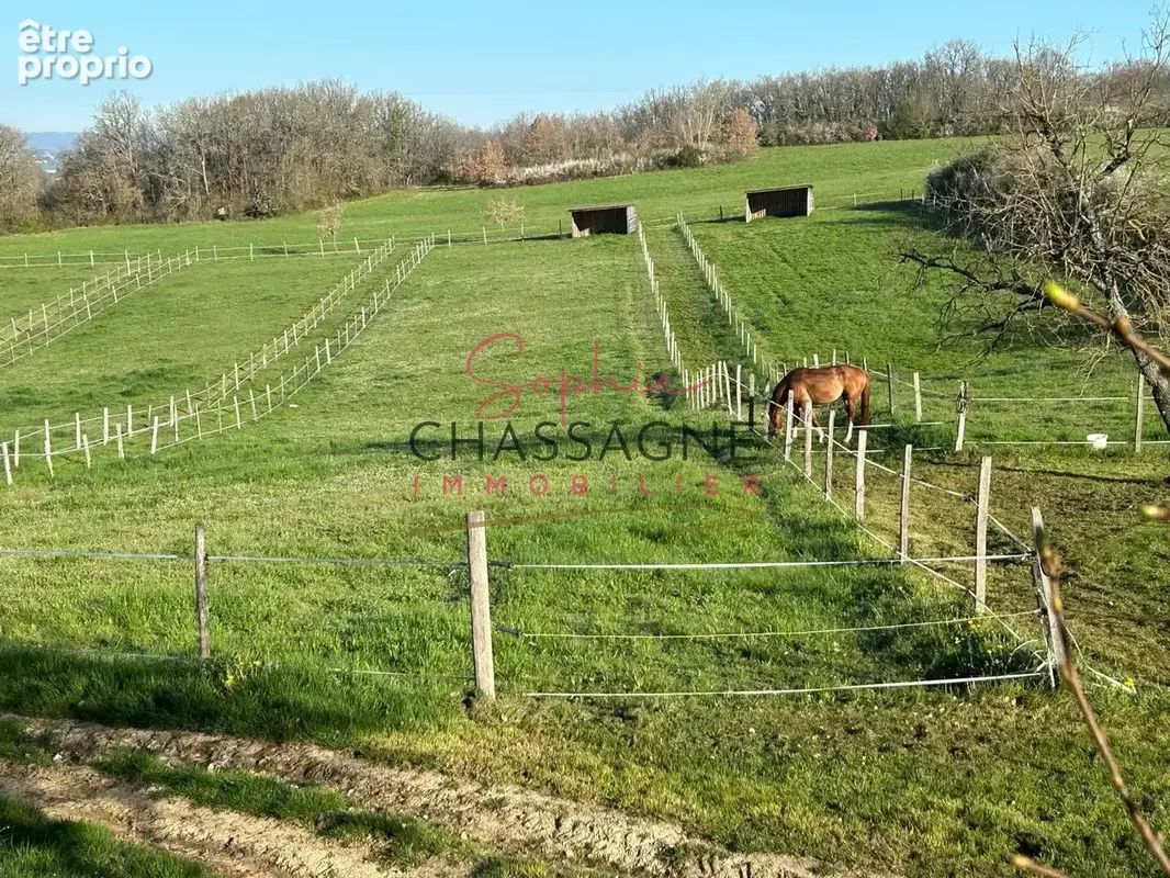 Centre équestre et écurie de propriétaires   plus de 10 hectares   un logement - proche agen (47) - photo 3