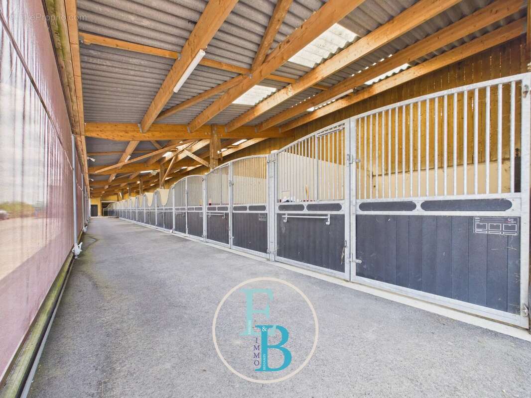 Grangues (pays d'auge) - centre d'entrainement et de reeducation equin avec balneotherapie - photo 7