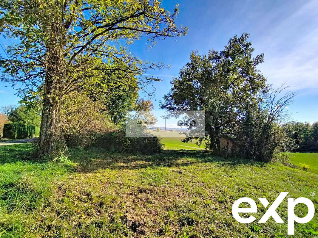 Terrain à MOLIERES