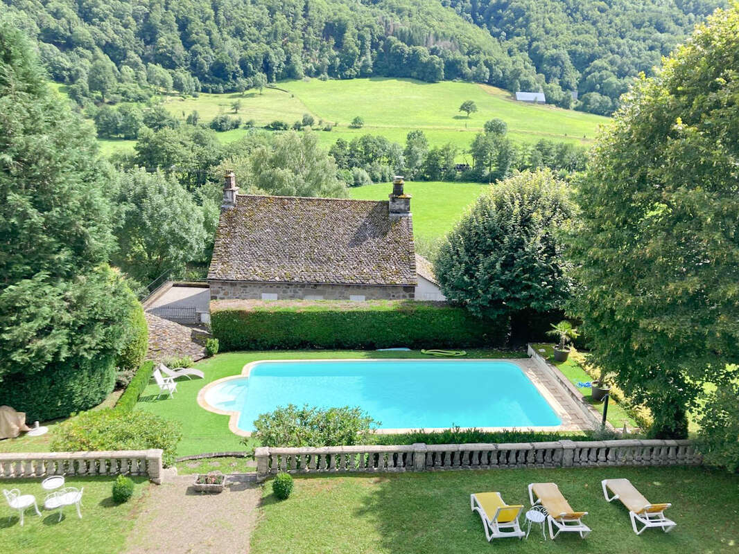 CANTAL, Château des Sources à vendre - photo 5