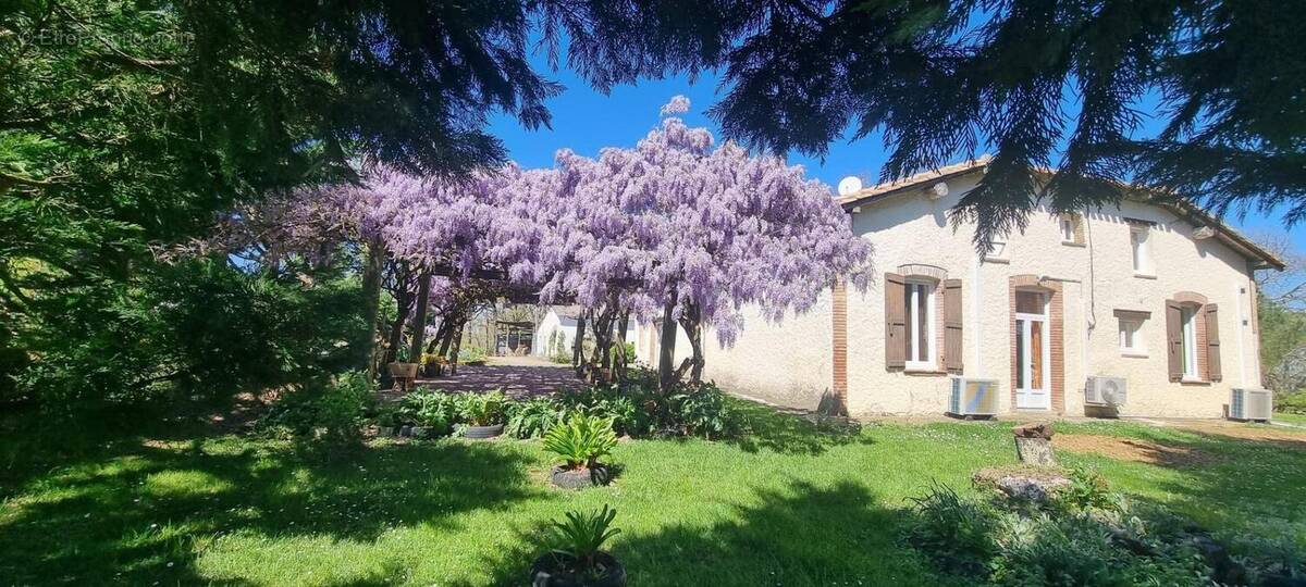 Photo 1 - Maison à LAVIT