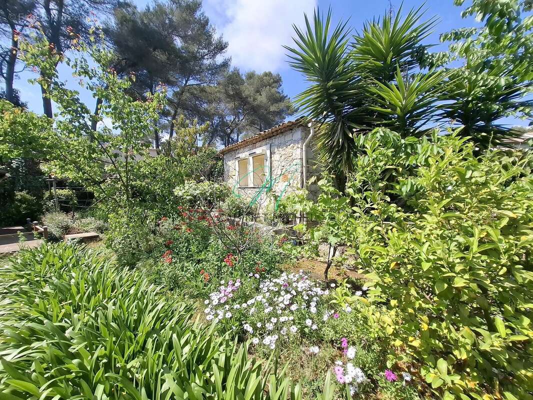 Maison à ROQUEFORT-LES-PINS