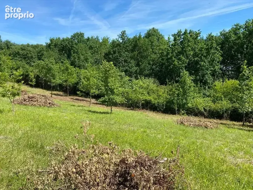 Terrain 1857 m² à Montauban  - photo 3