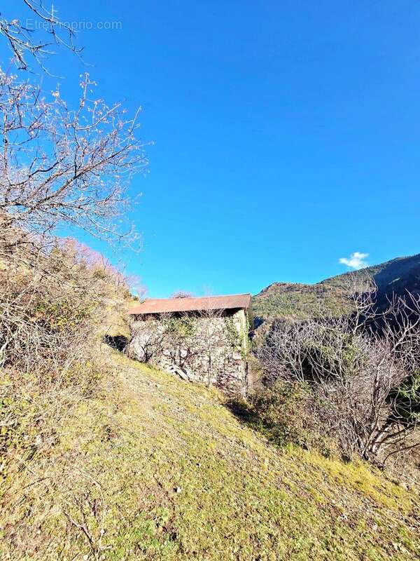 Maison à VALDEBLORE