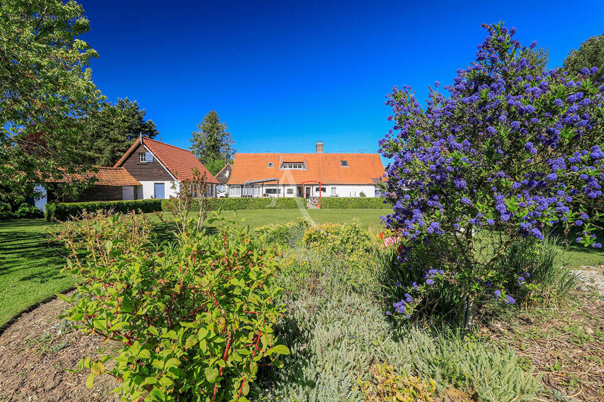 Maison à BERNAY-EN-PONTHIEU