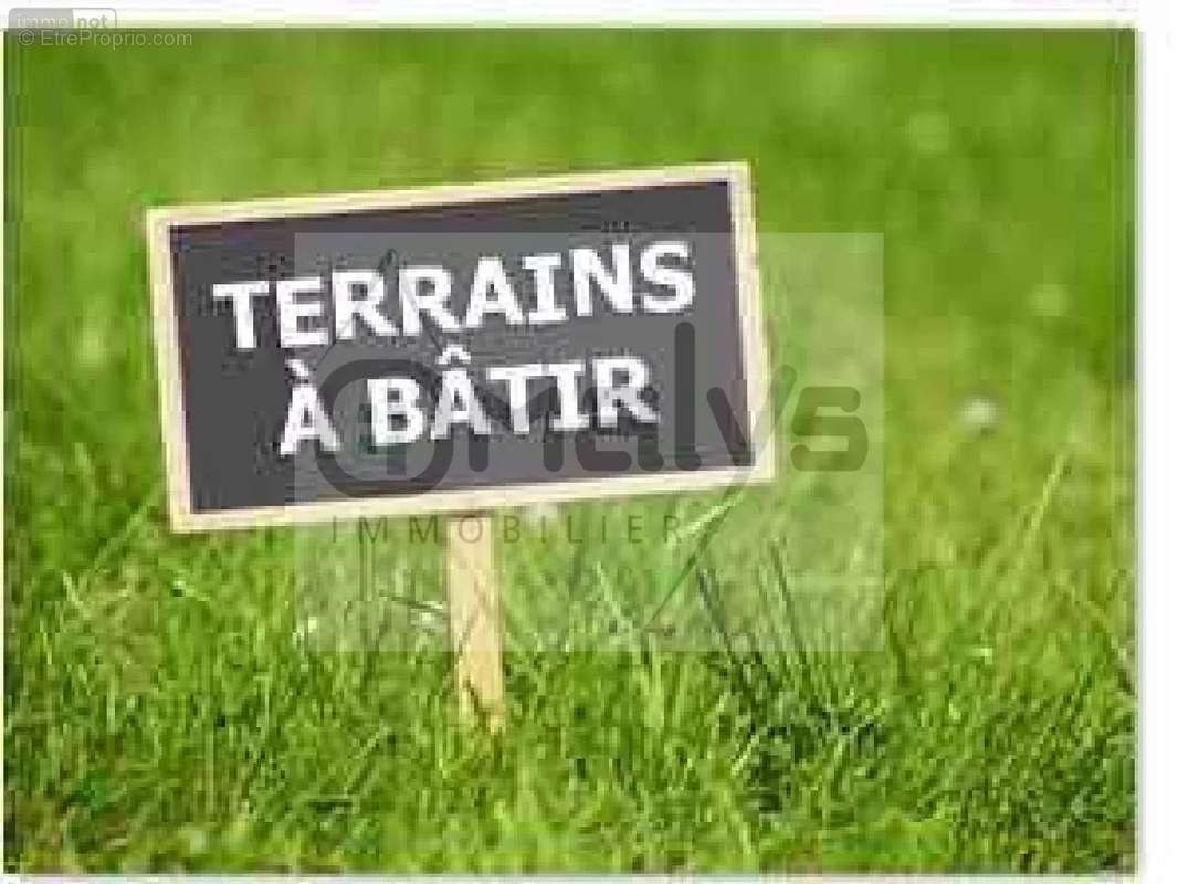 Terrain à WITTERNESSE