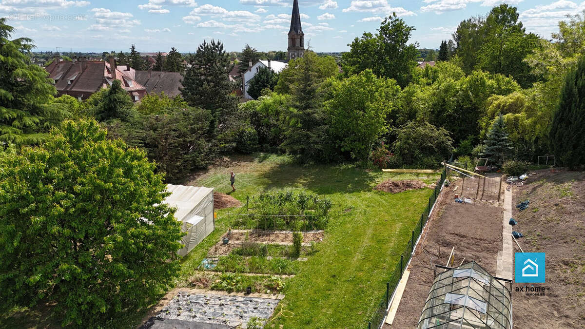 Terrain à OBERHAUSBERGEN