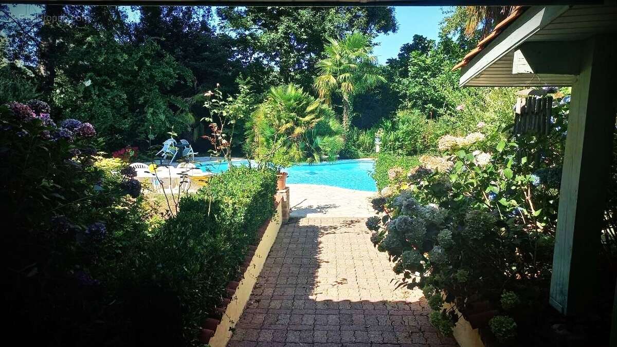 Photo-2025/041828-1-2 - Autre à MONT-DE-MARSAN