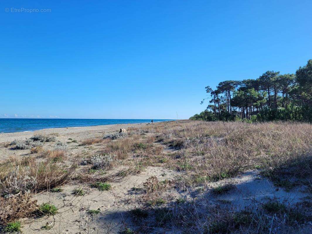 Appartement à BORGO