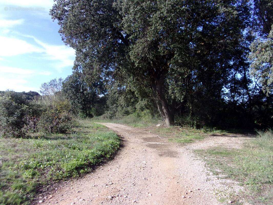 Terrain à SAINT-PONS-DE-MAUCHIENS