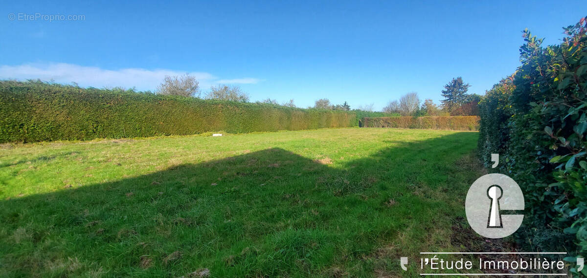Terrain à BALLEE