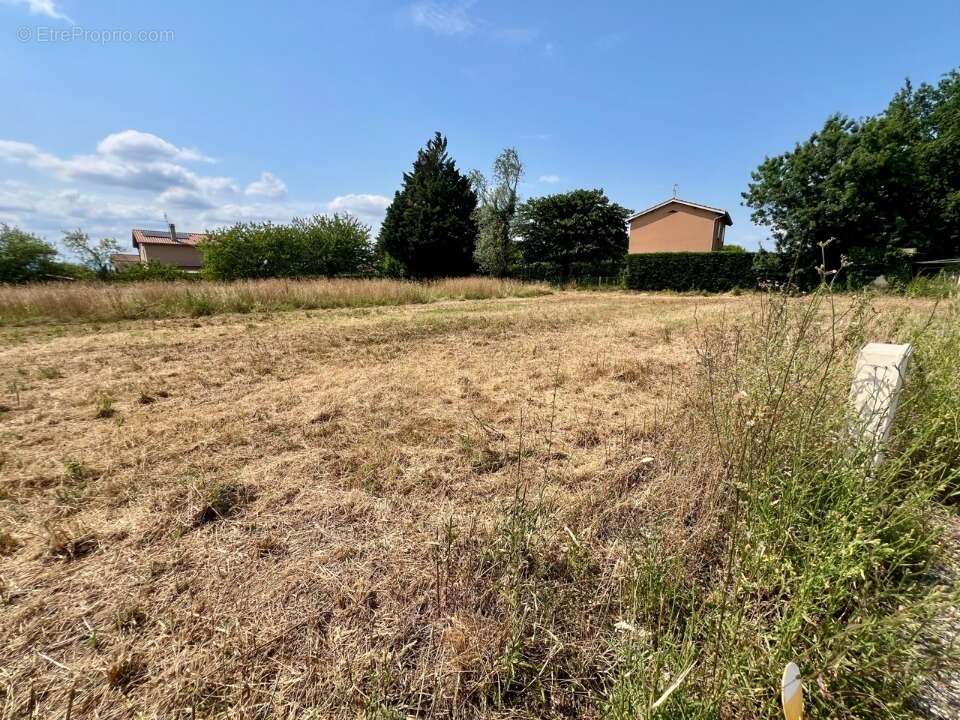 Terrain à REPLONGES