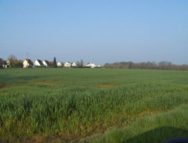 Terrain à SAINT-ARNOULT