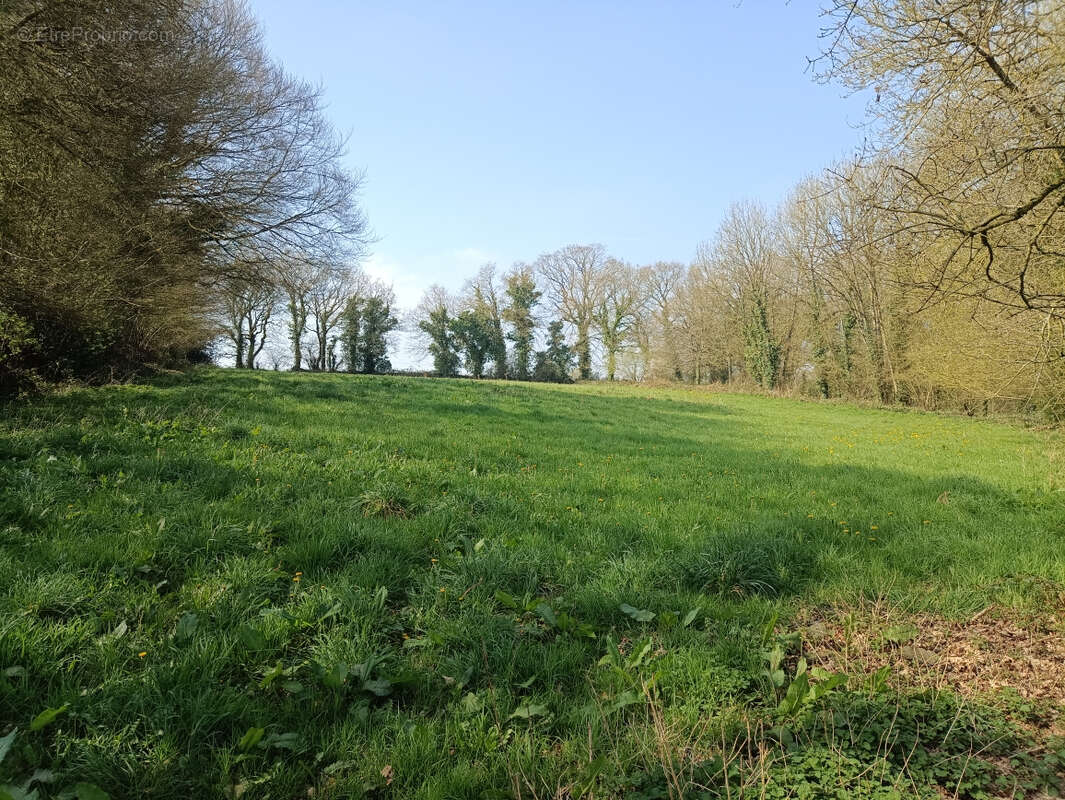 Terrain à PLOUNEVEZ-QUINTIN